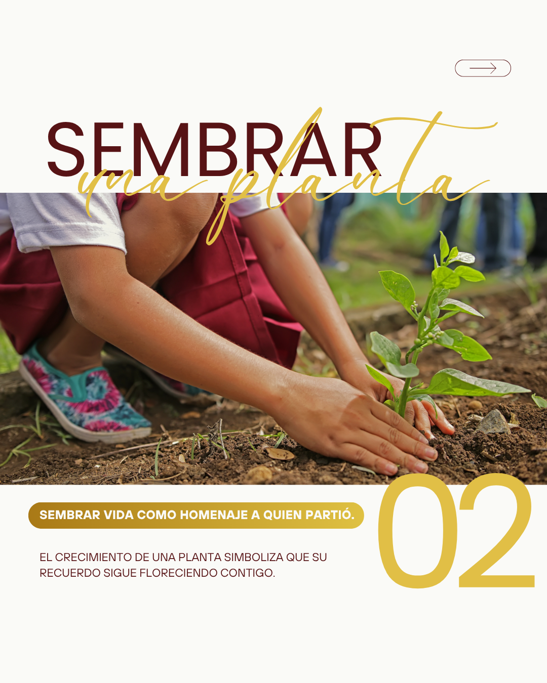 4 formas de despedir a un ser querido